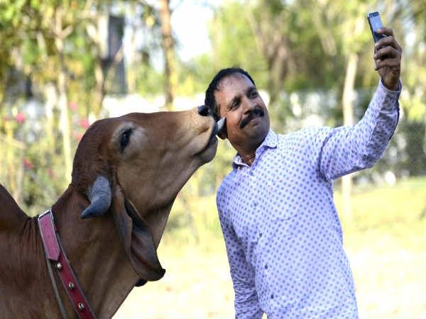 GOSEVA PARIVAR ऐप से जुड़ें और गायों को बचाएँ
