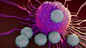 कैंसर के लिए वरदान: 3D तकनीक से कैंसर कोशिकाओं का लगाया जा सकेगा पता