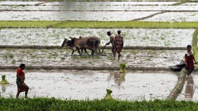 खराब पानी को खेती में उपयोग लेने में टॉप 5 देशो में भारत भी है शामिल