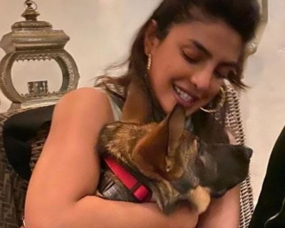 Priyanka and Nick spending quality time at home in self-isolation, shared photos