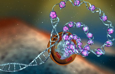 Science: The Fascinating World of Epigenetics: How Our Genes Can Change