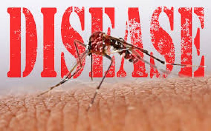 Google's Step Against mosquito-borne diseases