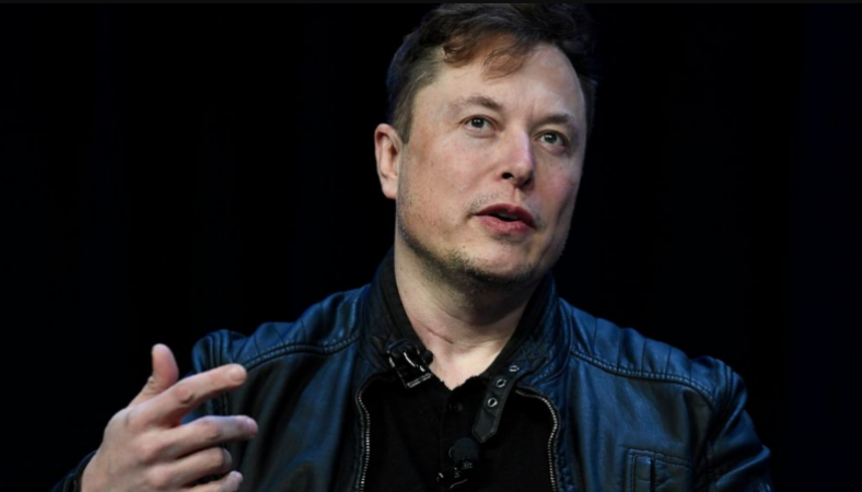 Users who participated in the Elon Musk Twitter poll want him gone