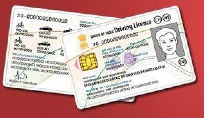 Lost your driving license? Order duplicate DL online like this, know the process