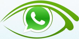 Secret work on new Whatsapp platform 'Enterprises' have initiated