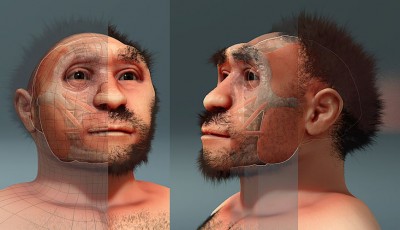 The Art of Forensic Facial Reconstruction: Solving Crimes Through Skull Analysis