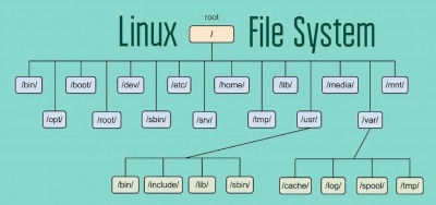 Exploring Linux File System: Hierarchical Structure & Permissions