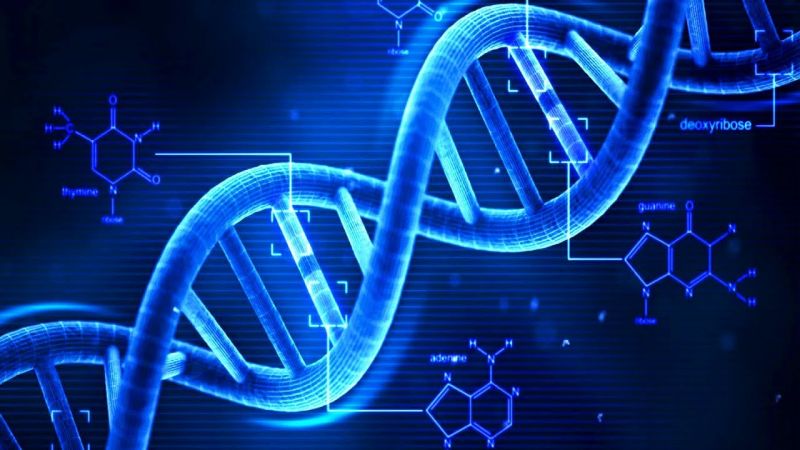 Scientists say that DNA is the largest Bio-Drive, it can store short movie