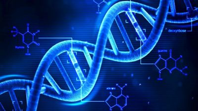 First ever 3D structure of active DNA created by researchers