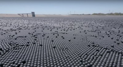 American laid 96 million black balls in a pond. What for?