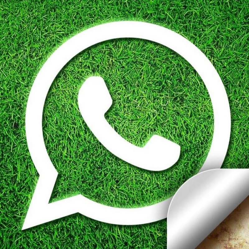 If you don’t accept new privacy policy of WhatsApp it will turn into a dummy app