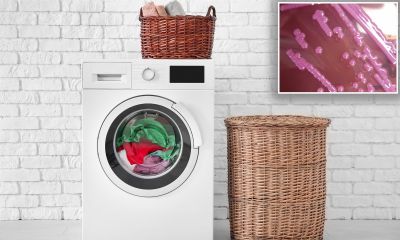 How to Choose a Highly Efficient Washing Machine