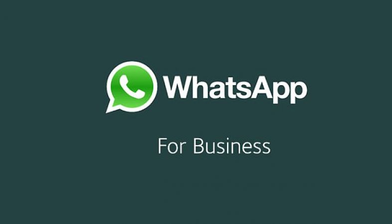 New WhatsApp Business Tools launched