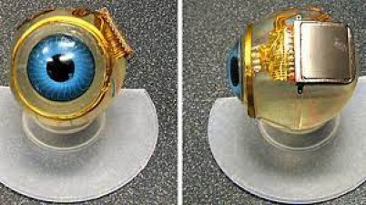 The first bionic eye is ready, the blind will now be able to see clearly