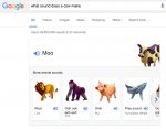 गूगल के नए फीचर से जानवरों की फोटो देख सुन सकते है उनकी आवाज
