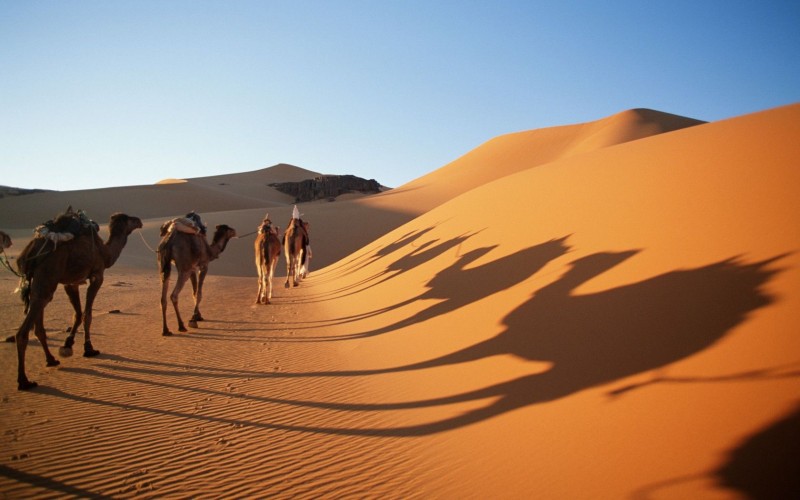 The world's largest desert which is spread over ten countries