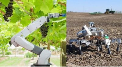किसानों का काम छीन रहे रोबोट, खेती का हर एक काम कर रहे फटाफट