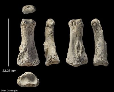 पुरातत्वविदों ने खोजी करीब 85 हज़ार साल पुरानी इंसानी हड्डी