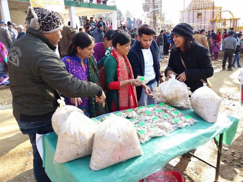 अपनी नौकरी छोड़ खेती करने करने लगी ये 'मशरूम लड़की', अब हो रही है फेमस