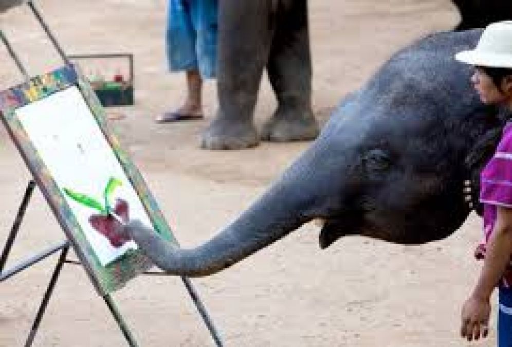 कमाल का है ये हाथी जो अपनी सूंड से करता है पेंटिंग