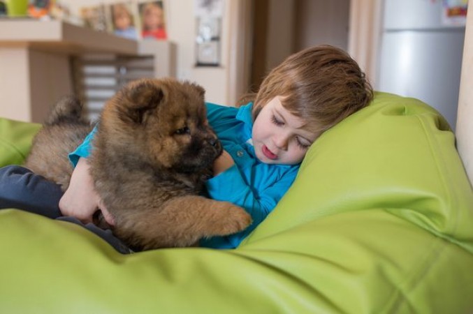Dog played this way with child in lockdown, watch funny video here