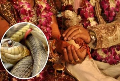 तो यहां होती है दुनिया की सबसे चर्चित शादी, दहेज़ में मिलते हैं 21 जहरीले सांप