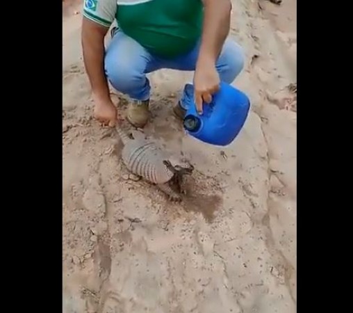 Man drinks water to Armadillo while running, people happy to see the video
