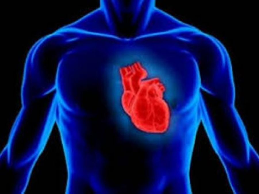 एक मिनट में साढ़े 5 लीटर खून पंप करता है आपका दिल, जानें अन्य फैक्ट्स