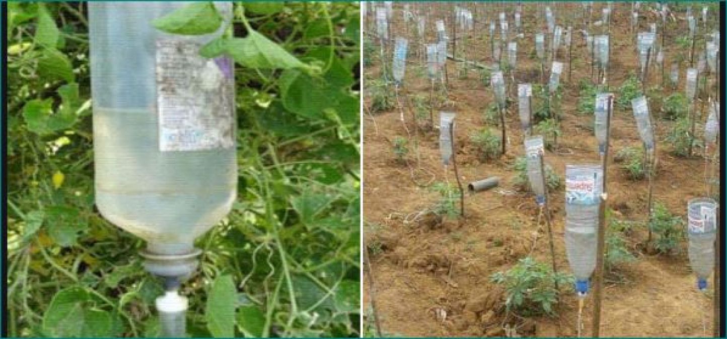 Farmers used empty bottles of glucose for farming, know-how?