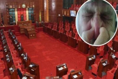 The MLA in the  Assembly farted in such a manner that somebody caught the nose, somebody hid the face!