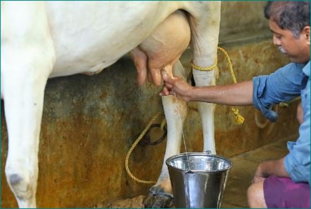 No one sells milk in this village, the needy gets it for free