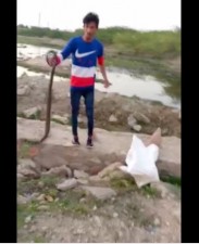 Young man was giving advice on snake protection on live video, suddenly cobra bitten and...