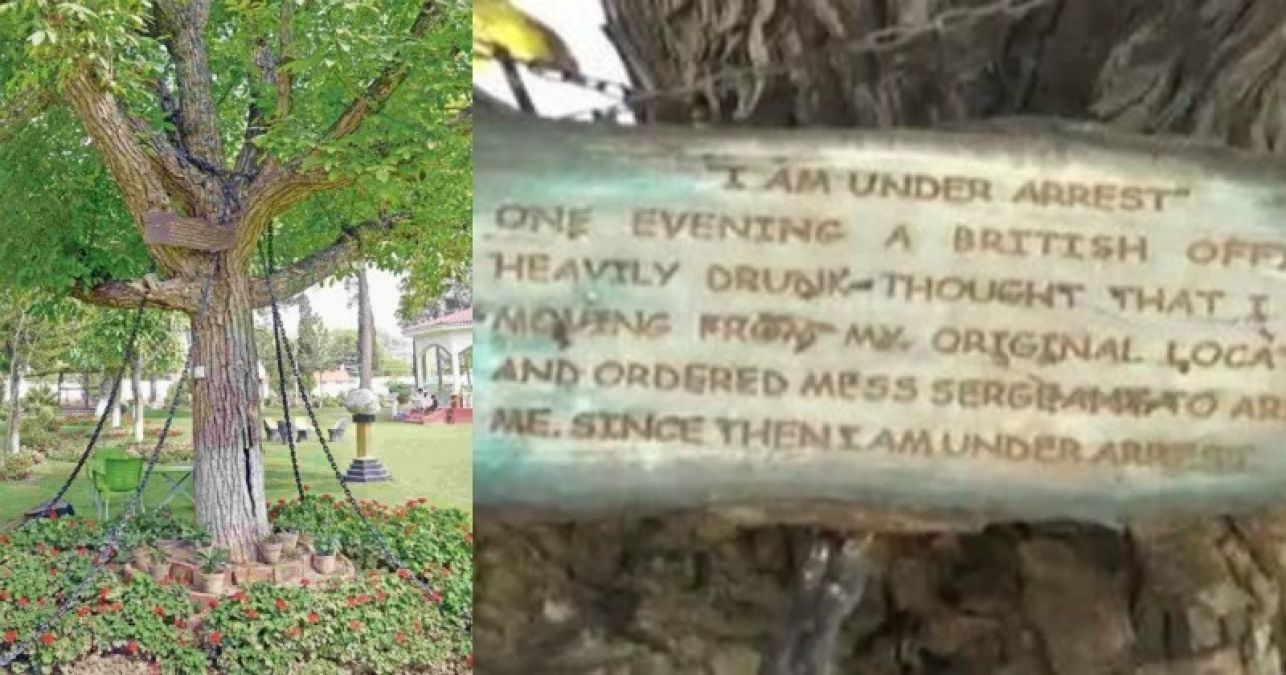 Do you know about the Banyan tree in Pakistan arrested by British army officers?