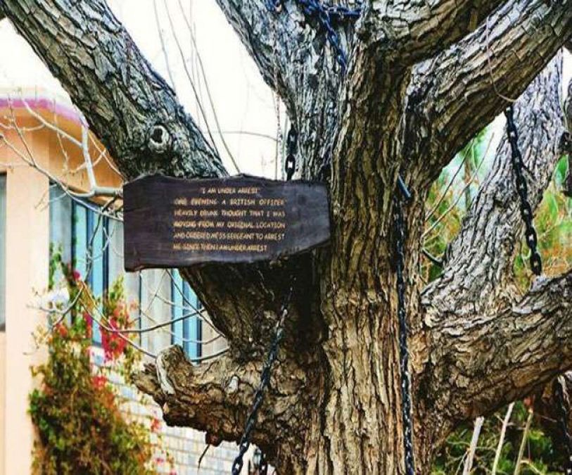 Do you know about the Banyan tree in Pakistan arrested by British army officers?
