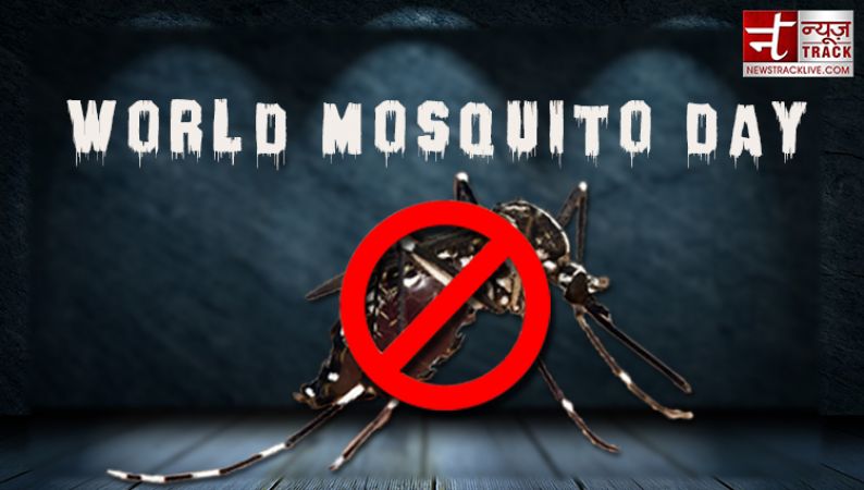 World Mosquito Day : इसलिए होता है मच्छरों का भी दिन