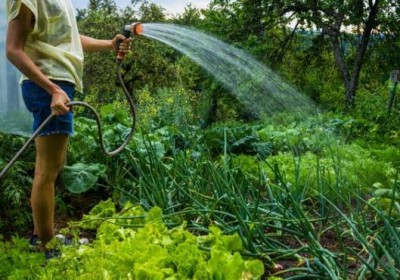 An Epic example of Indian Jugaad, know how this Homemade sprinkler works