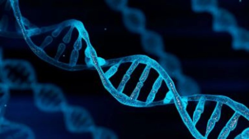 जानिए कितना आता है DNA टेस्ट में खर्च