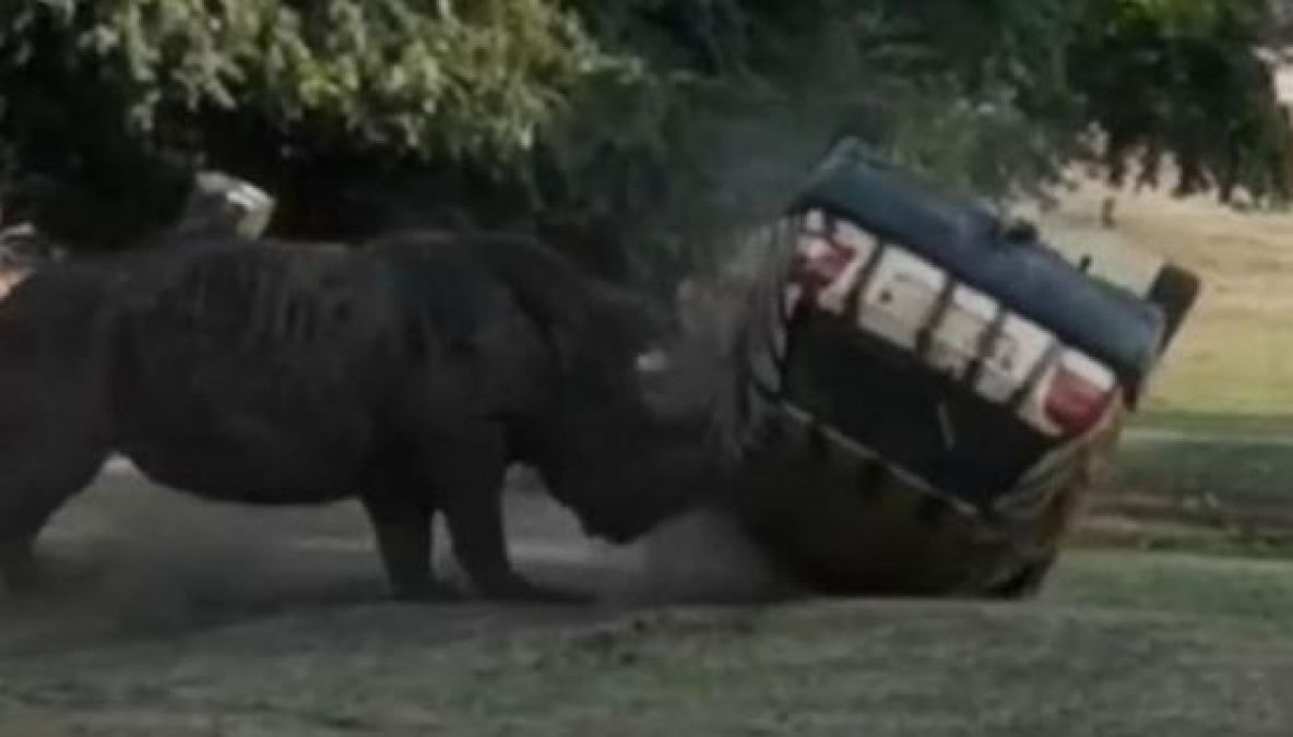 Watch Video: Angry Rhino pushed the car out of the safari park