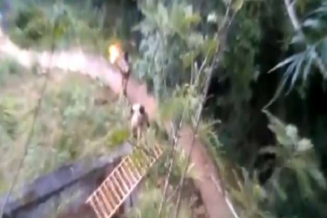 With all the risks Nilgiri FD staff rescued a bear, watch video here