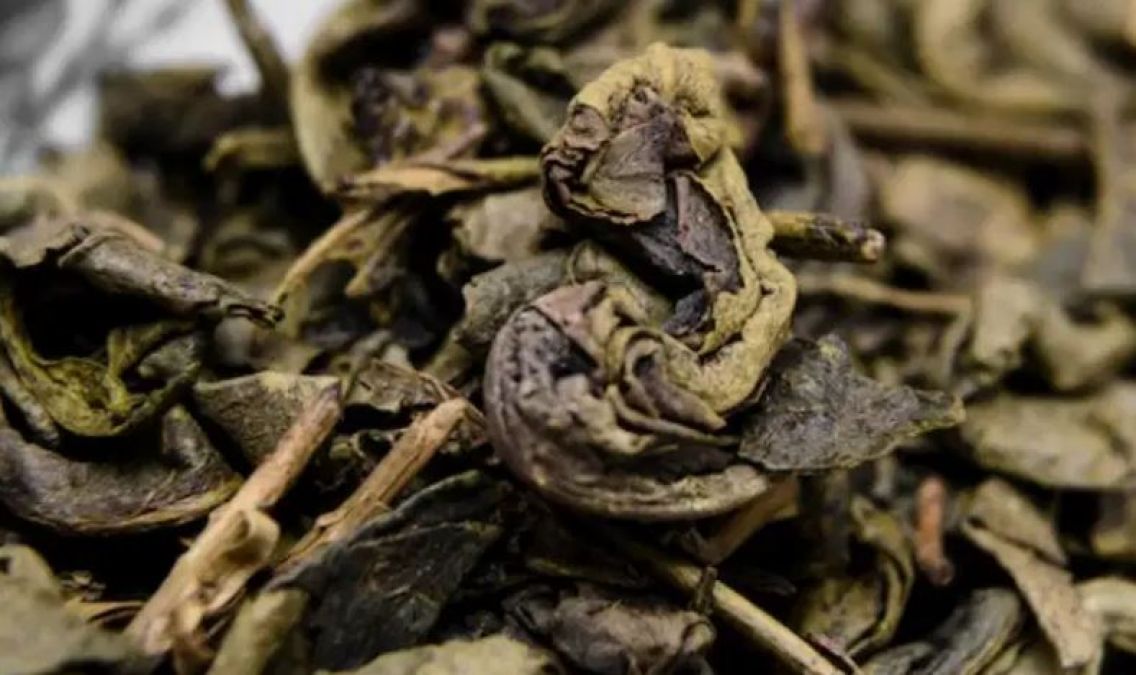 This is the world's most expensive tea, there are only 6 trees in the world