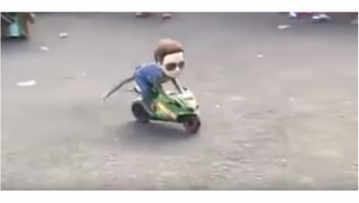 Video : कभी देखा है बन्दर को धूम स्टाइल में बाइक चलाते हुए
