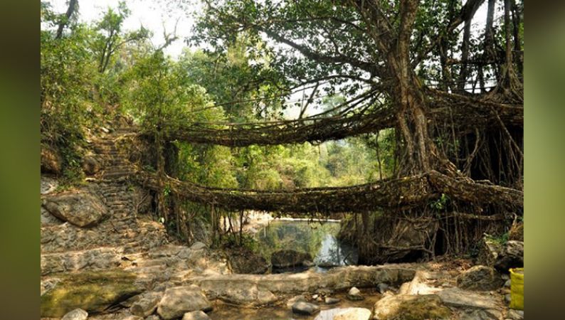 खूबसूरती के मामले में भारत नहीं है विदेश से कम