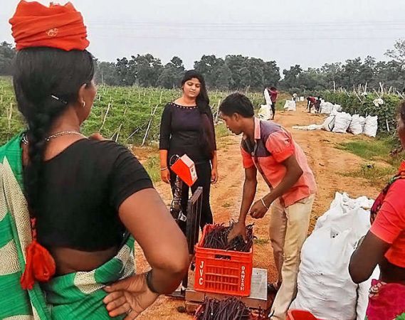 शिक्षित होने पर भी करने लगी खेती, आज विदेशो तक है मशहूर