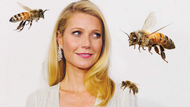 हॉलीवुड एक्ट्रेस खूबसूरती बरक़रार रखने के लिए मधुमक्खी के साथ करती है ये काम