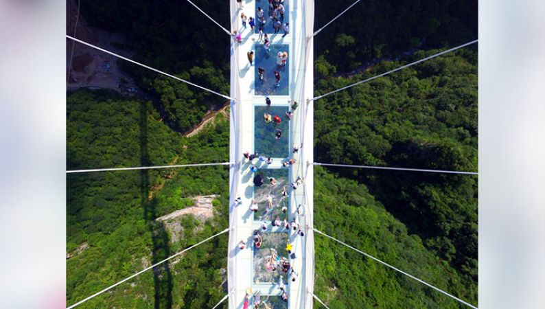 हिम्मत हो तो ही जाए इस भयानक Glass Bridge पर