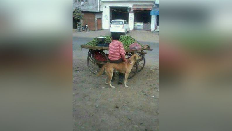 इन महान लोगो के कारनामे देखकर आप भी देंगे इन्हे ईनाम