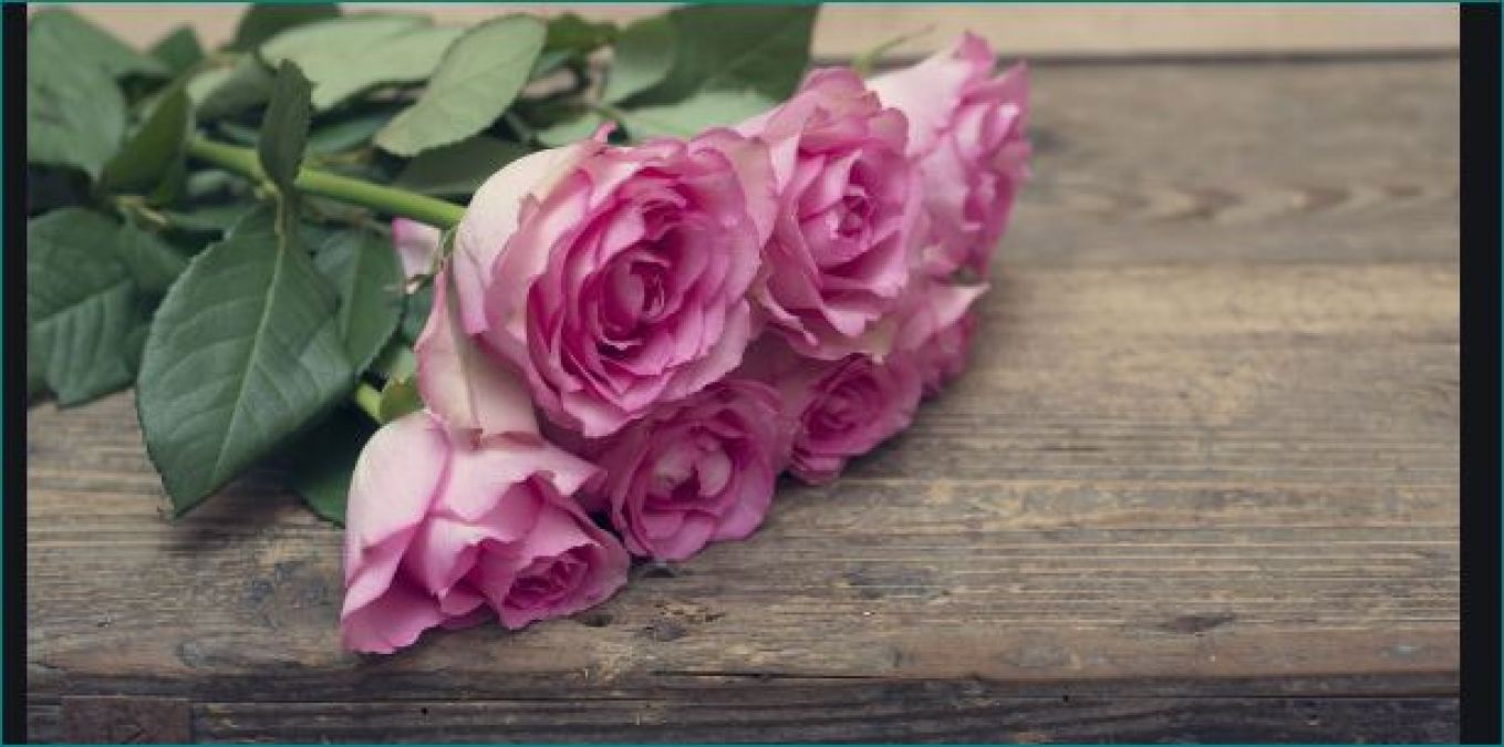 Valentine Day Celebration: Choose right rose to describe your feelings