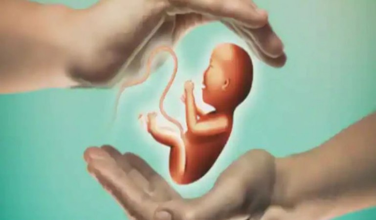 अब गर्भ से बाहर विकसित होगा भ्रूण, रोबोट बनेगा दाई!