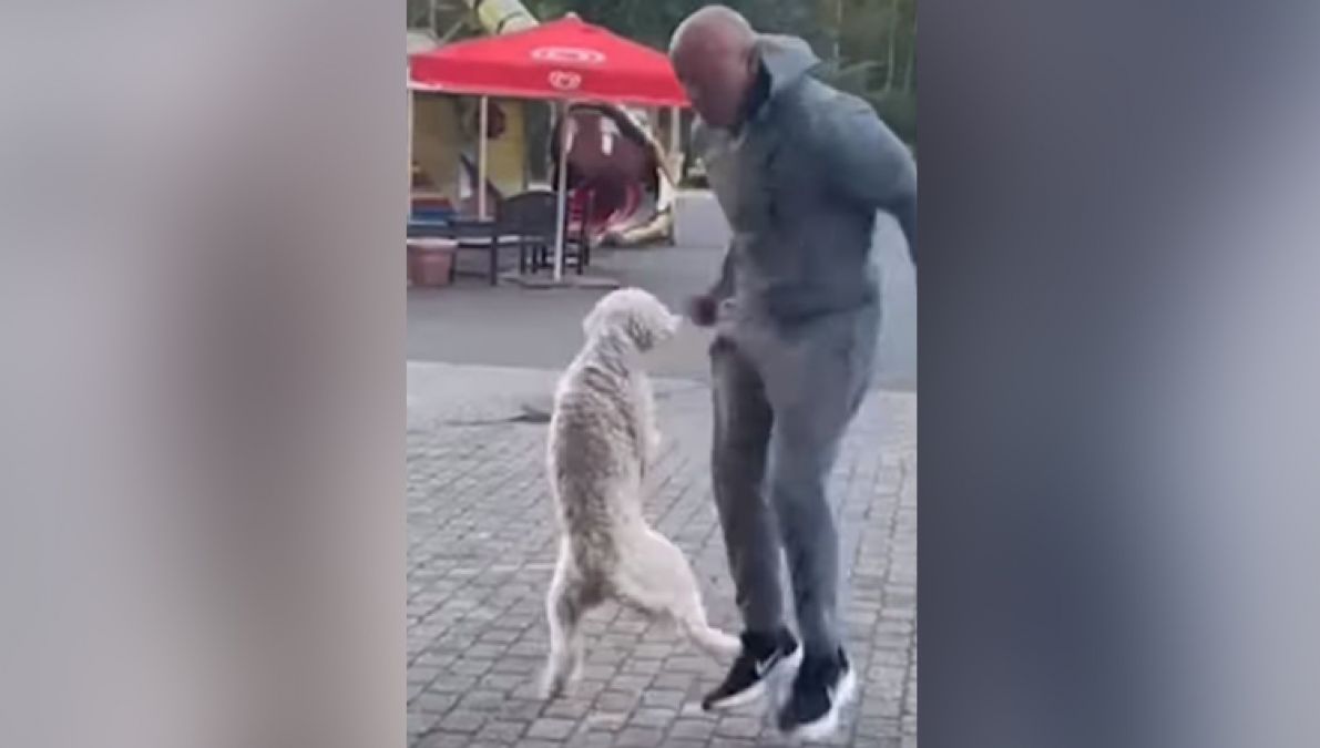 Dog blew everyone's senses by jumping with the owner, made world's biggest record