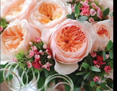 Rose Day: ये है दुनिया का सबसे महंगा गुलाब, कीमत सुनकर उड़ जाएंगे आपके होश